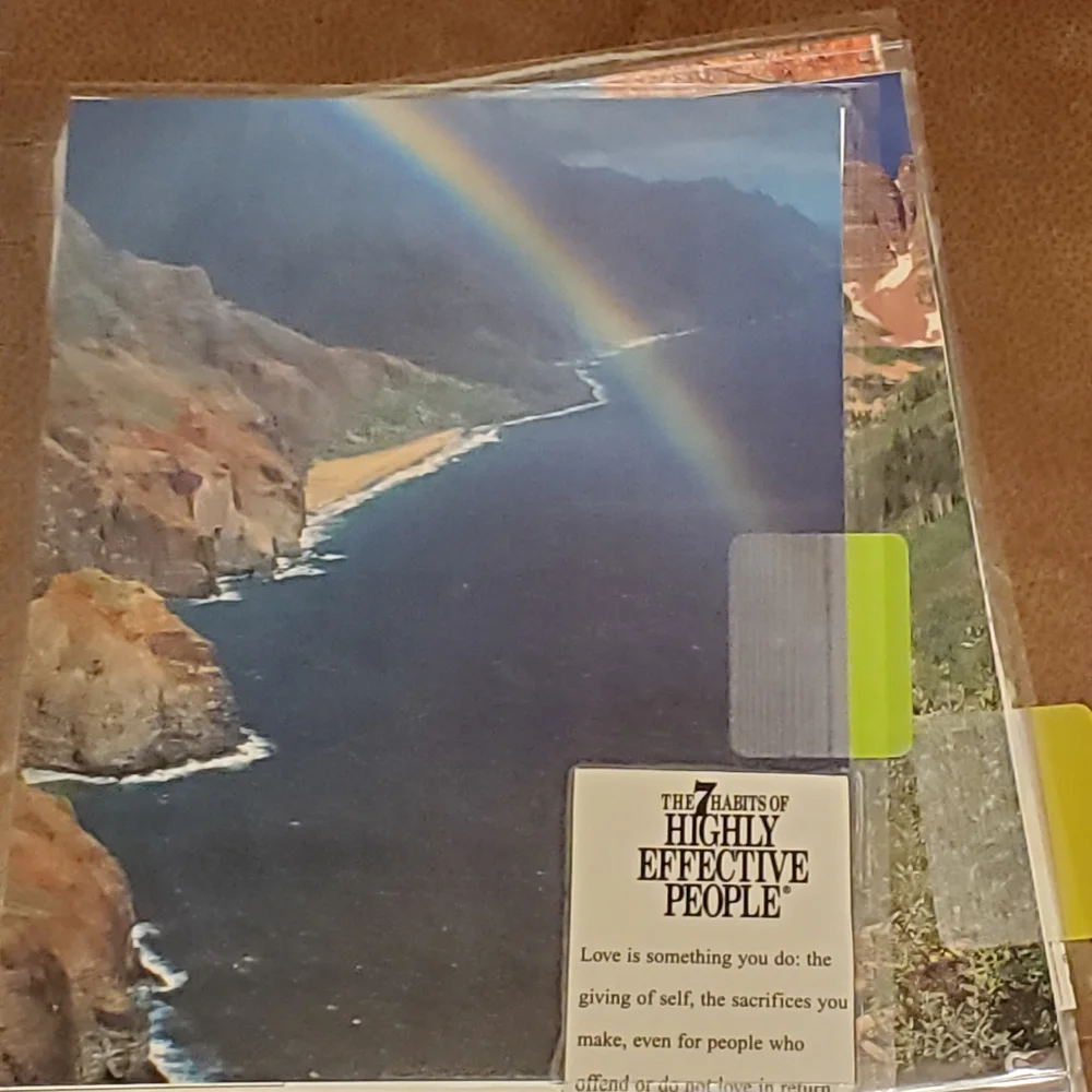 Homemade cover & five dashboards/dividers for a classic size disc bound planner